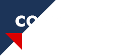 Consultant Firm